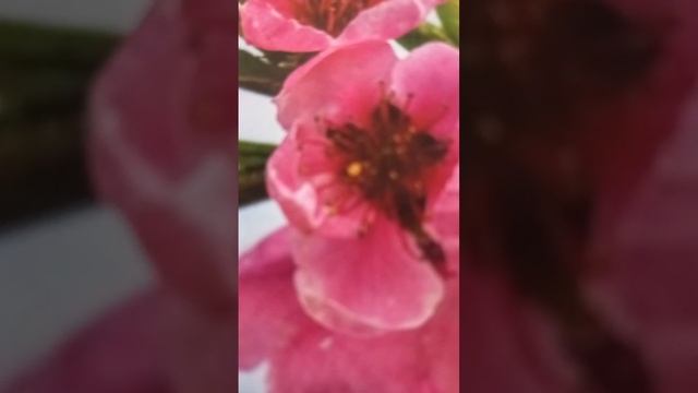 Если друг,  товарищ взял деньги в долг и не отдает.  Рассказывает Хакимов