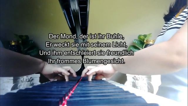 Die Lotosblume (F), R.Schumann. Piano Accompaniment смотреть онлайн