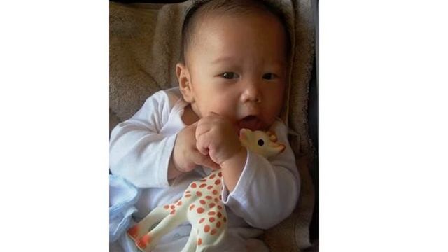 Vulli Sophie the Giraffe Teether смотреть онлайн