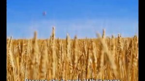 «Хлопушка Любятова» для Любятово (Kellogg's)