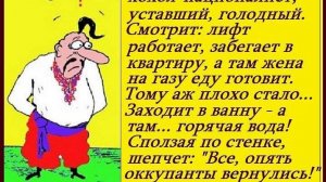 Мошенники всех мастей (сборник 49)