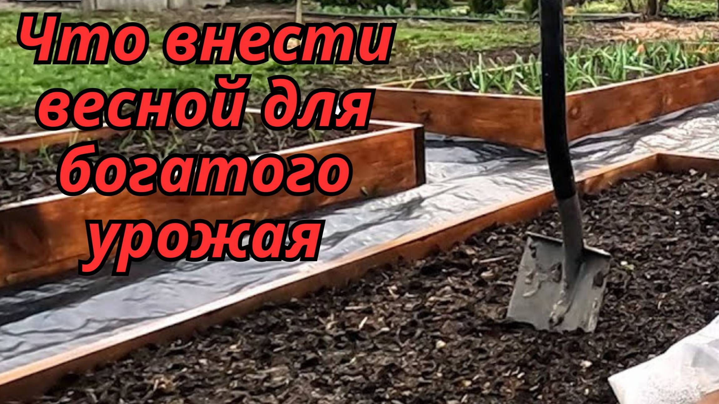 🌱 Что добавить в почву весной? Улучшаем плодородие перед посадкой! смотреть онлайн