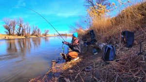 В ЭТИХ КОРЯГАХ ЖОР КАРАСЯ НА ПОПЛАВОК РЫБАЛКА ВЕСНОЙ