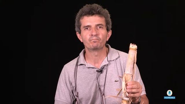 Entrevista a Santiago Moreno. смотреть онлайн