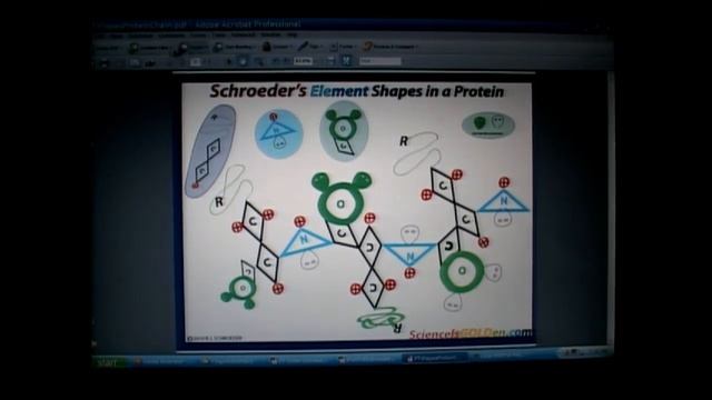 Schroeder e- Vacancy Periodic Table of Circles peptide bond -AAshapes смотреть онлайн