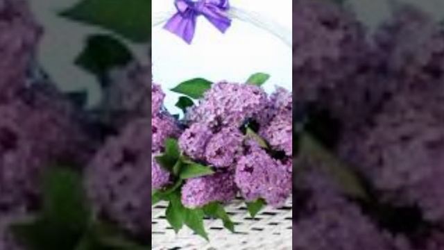 МИРАС,СЧАСТЬЯ,ЛЮБВИ,ТЕПЛА И БЛАГОПОЛУЧИЯ ВАШЕМУ ДОМУ. смотреть онлайн