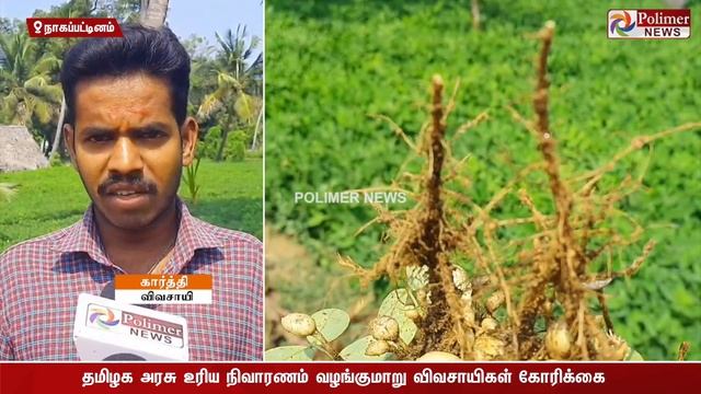 அறுவடை நேரம் இது .. ஆனால்..? பருவம் தவறி பெய்த கனமழையால் பரிதவிக்கும் விவசாயிகள் смотреть онлайн