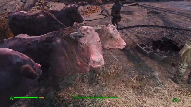 Fallout.Bramino goloso! смотреть онлайн