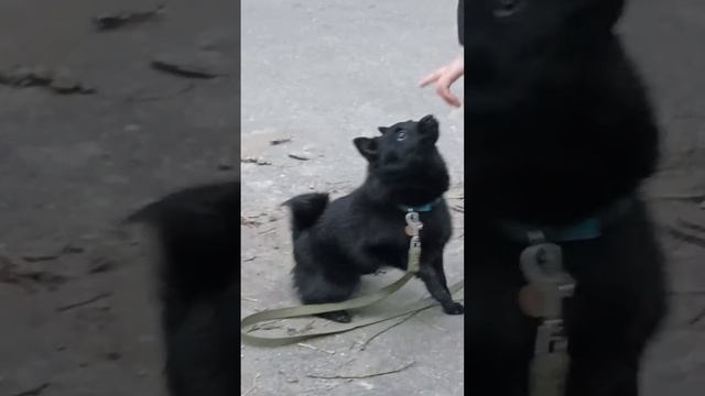 Мари и моё сердце💜❤ стало биться😇😇😇😁😁😁 смотреть онлайн