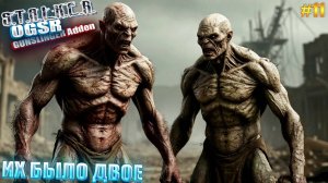 ИХ БЫЛО ДВОЕ | СТАЛКЕР OGSR GUNSLINGER Addon | СЕРИЯ 11