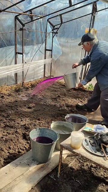 подготовка грунта для высадки рассады.