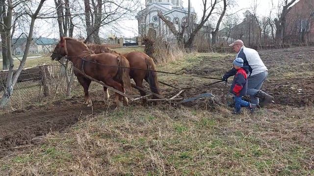 21ст. коні орять поле смотреть онлайн