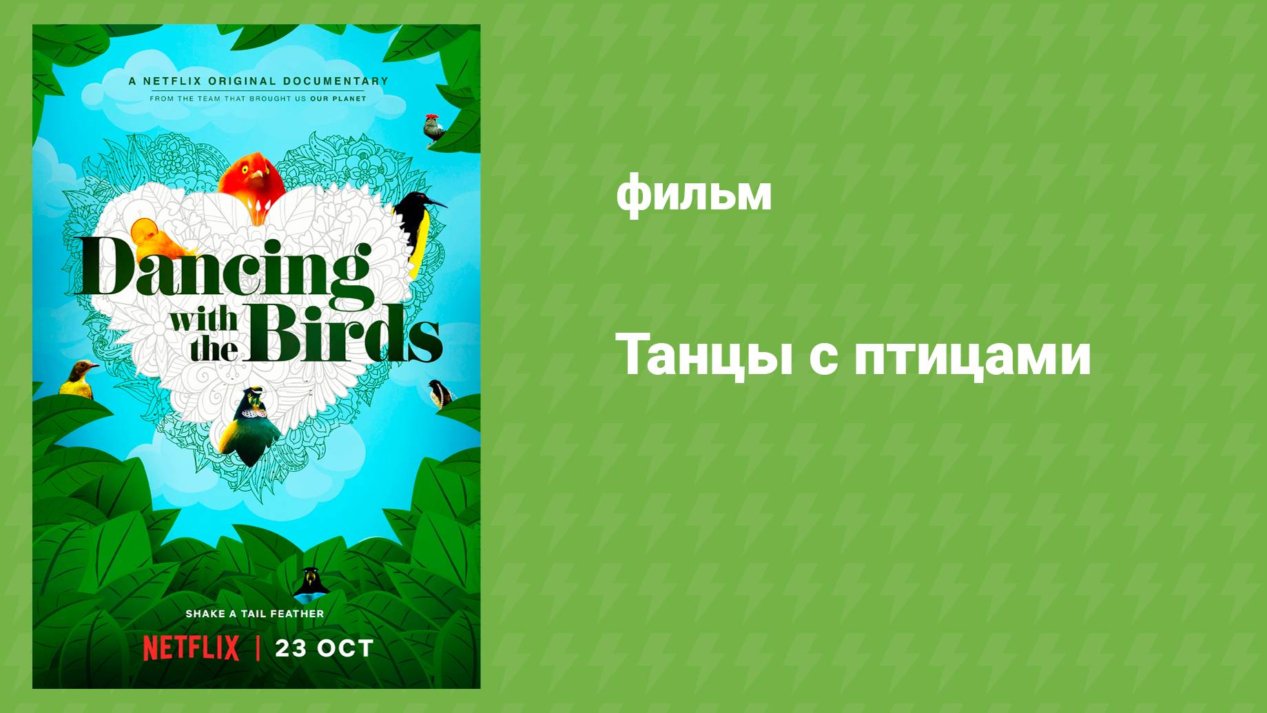 Танцы с птицами (документальный фильм, 2019) смотреть онлайн