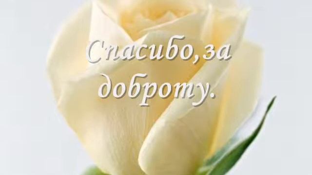 11 а.wmv смотреть онлайн