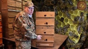 ДАДАН ПЛЮС ДИОФРАГМА. БОЛЬШОЙ МЁД