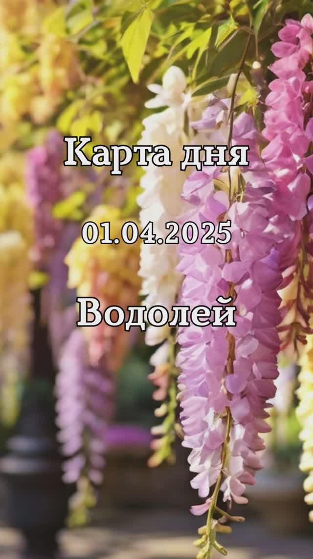 ✨Карта дня 01.04.2025 Водолей смотреть онлайн