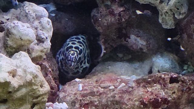 VID_20250319_150622-16