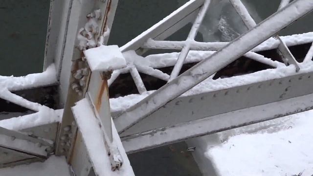 ЖИВОТНЫЕ НЕ ТОЛЬКО УТКИ смотреть онлайн