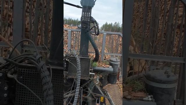 Valtra w lesie смотреть онлайн