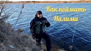 Как поймать Налима?! С берега на донки