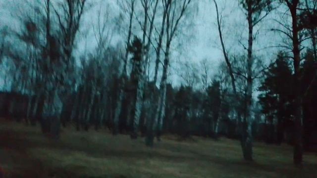 Прогулка с Риччи 🐶 Восход 🌅 смотреть онлайн