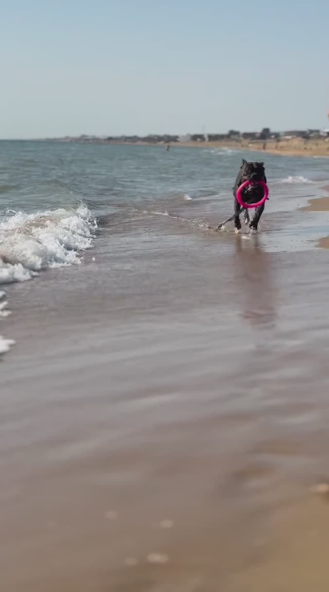 Псын Титан на море!