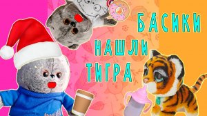 КОТИК БАСИК  НАШЕЛ ТИГРЕНКА