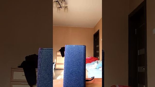 Даня крутой