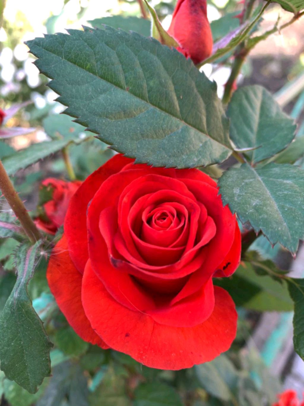 Смотрим и улыбаемся