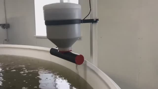 Автоматическая кормушка для УЗВ смотреть онлайн