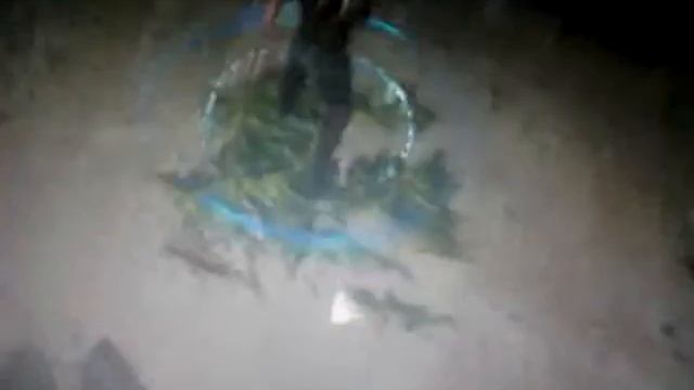 Weta pet ^...^ смотреть онлайн