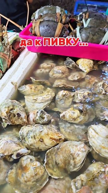 все под пиво #гастробали