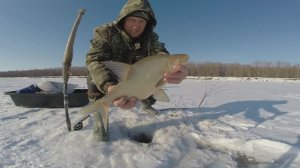 Весенняя рыбалка в Сибири, часть 49, сезон 2025 года.