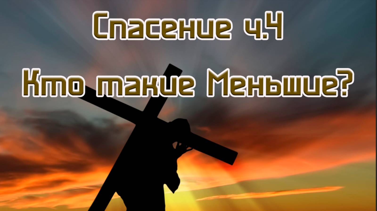 Спасение ч.4 
Кто такие братья меньшие?