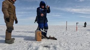 РЫБАЛКА НА ОМУЛЯ И СЕКРЕТЫ ЕГО ЛОВЛИ!!! ПОДАРИЛИ НАСТРОЙ!Настройка эхолота GARMIN STRIKER PLUS 4!