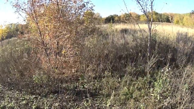 Закрываем огородный сезон, но и про кур не забывам / Купили дом в деревне / переезд из города смотреть онлайн