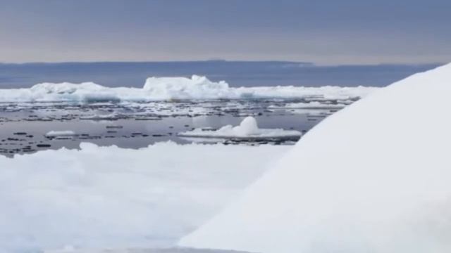 Душевное видео......... смотреть онлайн