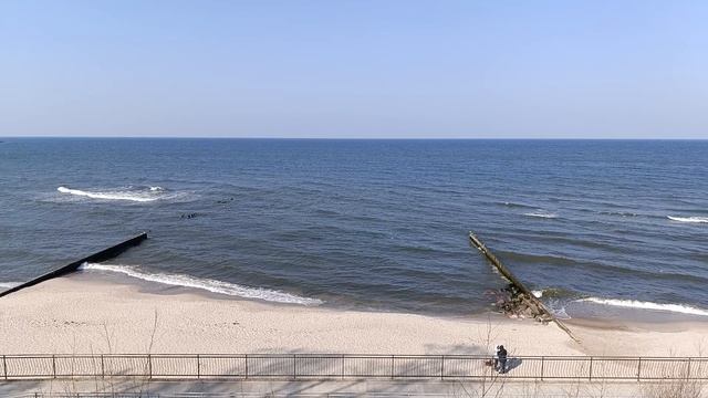 VID_20250323_141252-29