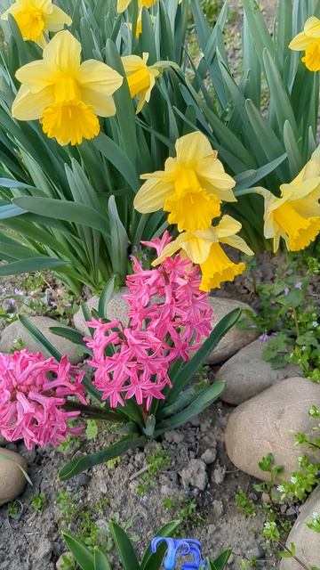 Весна смотреть онлайн