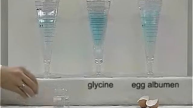 Biuret Reaction смотреть онлайн