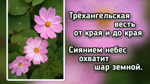 24(2-)Хвала Тебе хвала караоке смотреть онлайн