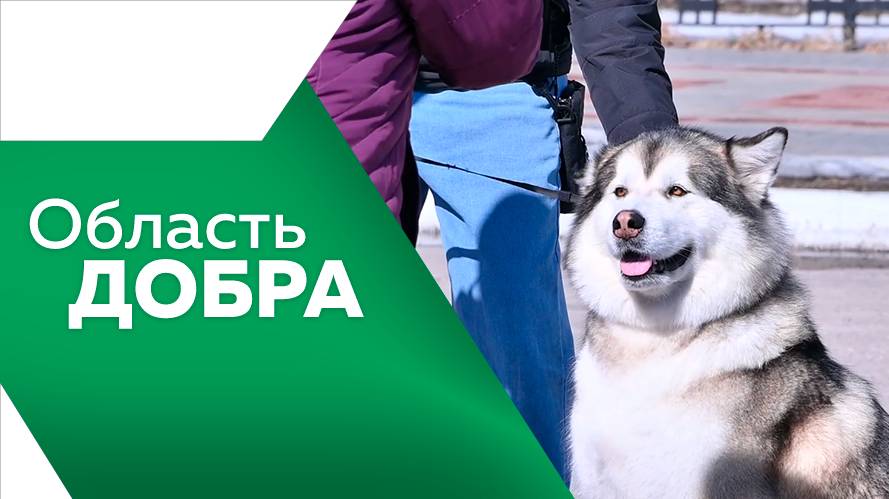 Программа "Область добра" №6