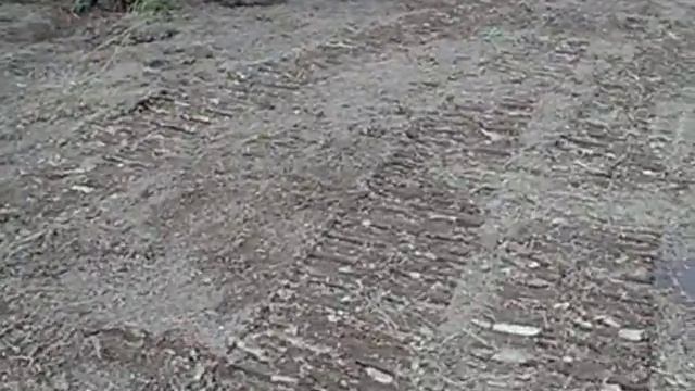 Vi vandrar genom den nya Kulturdelen av parken смотреть онлайн