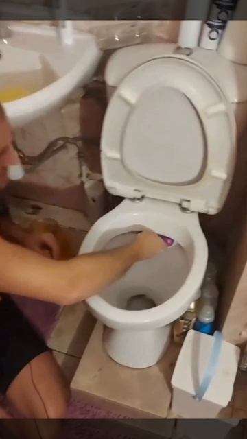 Как правильно закрепить освежитель на унитаз 👏