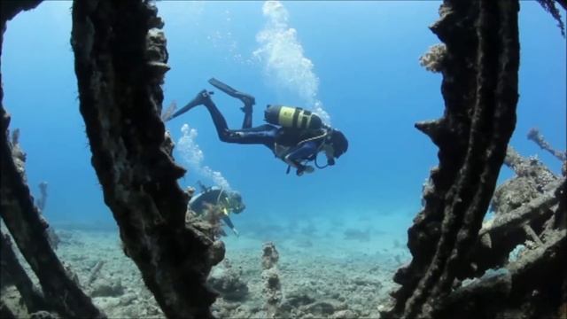 Фильм 1 Дайвинг сафари  яхта Тала The Carnatic Abu Nuhas Тест GoPro Hero 3+ Видео с Veryvery.ru