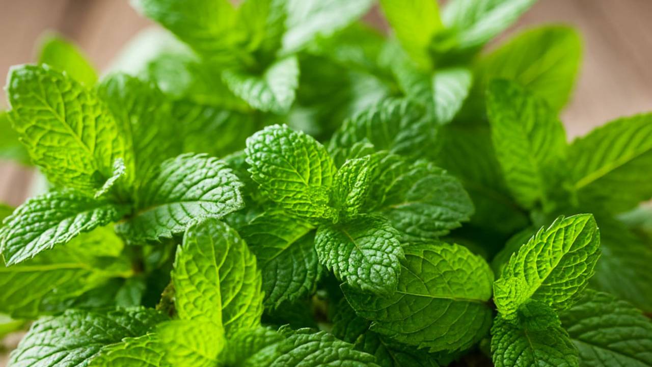 Секреты Народной Медицин и Эзотерики.