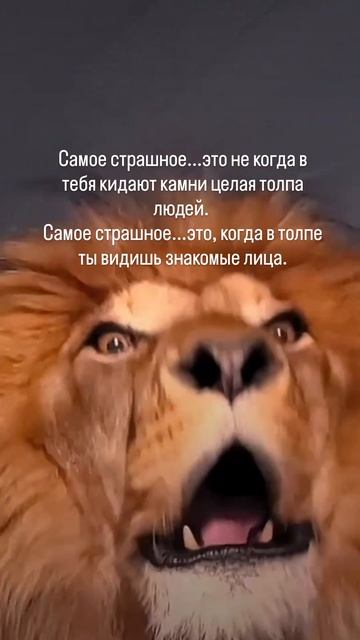 Правда смотреть онлайн