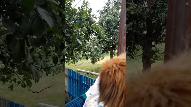 Гамлет на посту👀 смотреть онлайн