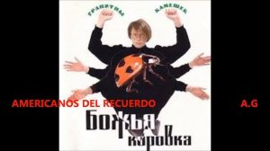 Божья коровка — Гранитный камушек