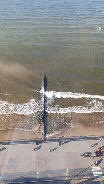 VID_20250322_150336-27